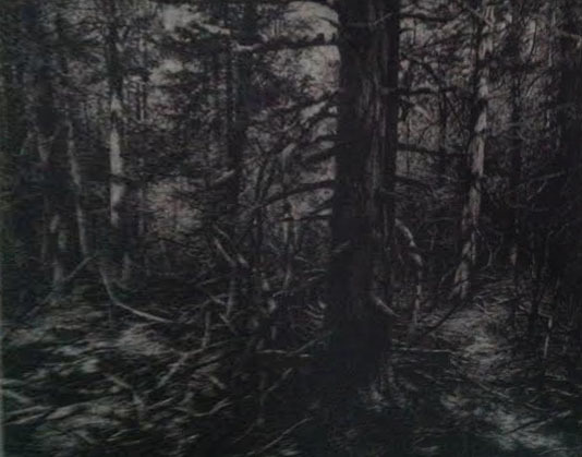 http://www.ricdigitalcommons.com/CAP-0231.jpg