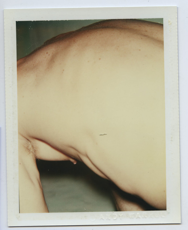 http://www.ricdigitalcommons.com/fa16.00711.jpg