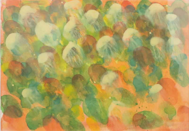 http://www.ricdigitalcommons.com/CAP-0139.jpg