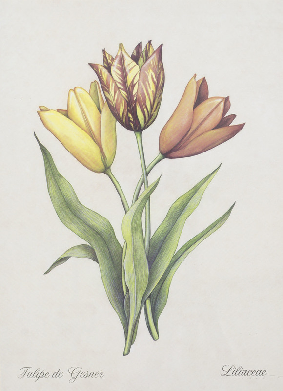 http://www.ricdigitalcommons.com/CAP-0055.jpg