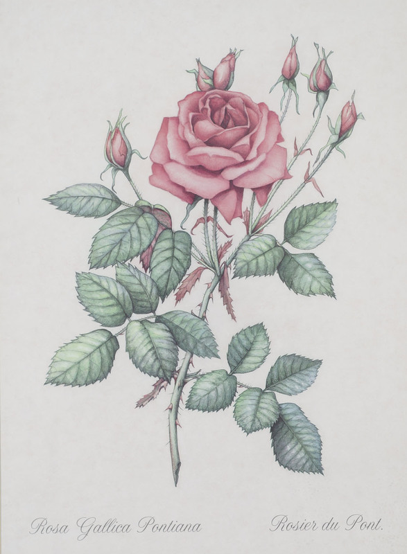 http://www.ricdigitalcommons.com/CAP-0056.jpg