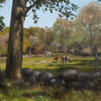 http://www.ricdigitalcommons.com/RICF50.jpg