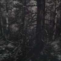 http://www.ricdigitalcommons.com/CAP-0231.jpg