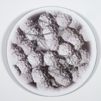 http://www.ricdigitalcommons.com/CAP-0068.jpg