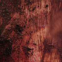 http://www.ricdigitalcommons.com/CAP-0167.jpg
