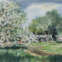 Dogwood Tree