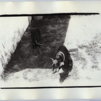 http://www.ricdigitalcommons.com/fl11.00105.jpg