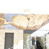CAP-0132-1.jpg