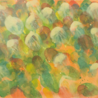 http://www.ricdigitalcommons.com/CAP-0139.jpg