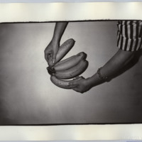 http://www.ricdigitalcommons.com/fl18.01548.jpg
