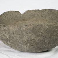 http://www.ricdigitalcommons.com/ANT-011.jpg