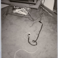 http://www.ricdigitalcommons.com/fl17.00239.jpg