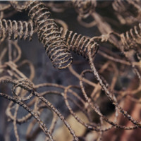 http://www.ricdigitalcommons.com/CAP-0161.jpg