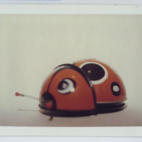 http://www.ricdigitalcommons.com/fa09.01803.jpg