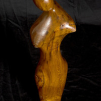 http://www.ricdigitalcommons.com/CAP-0027.jpg