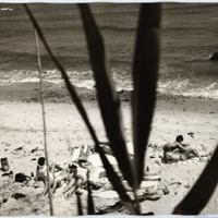 http://www.ricdigitalcommons.com/fl13.02265.jpg