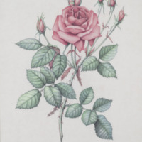 http://www.ricdigitalcommons.com/CAP-0056.jpg