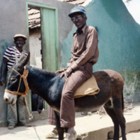 Two Men and a Donkey, Calheta