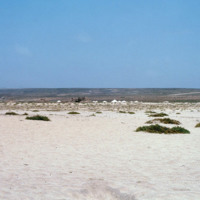 Salt Pans Outside Vila do Maio (1 of 6)