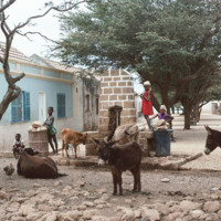 Village Life in Calheta