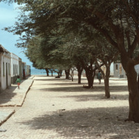 Shady Street in Calheta