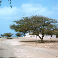 Main Road in Calheta