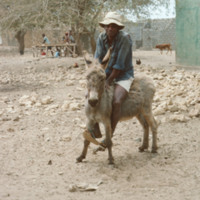 Man with a Donkey