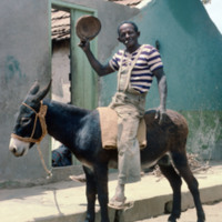 Man on Donkey, Smoking